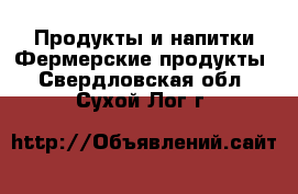 Продукты и напитки Фермерские продукты. Свердловская обл.,Сухой Лог г.